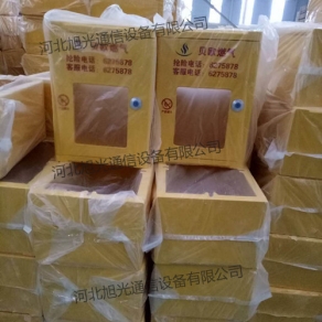 燃氣表箱