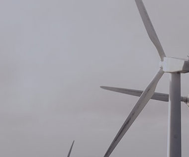 熱烈慶祝本網站改版成功